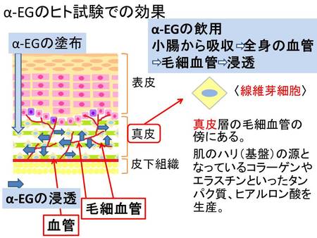 αーeg 販売 ハンドクリーム