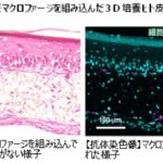 フードボイス記事ニュース