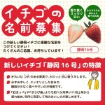 フードボイス記事ニュース