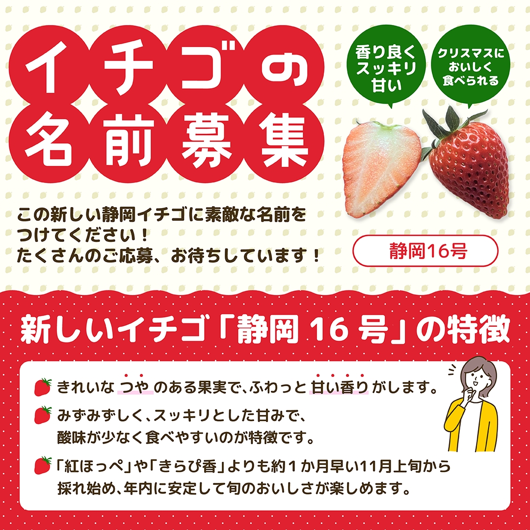静岡県「イチゴ新品種＜静岡16号＞」名前募集 - フードボイス