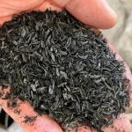 フードボイス記事ニュース